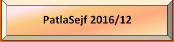tlacPATLASEJF2016-12.jpg, 12kB