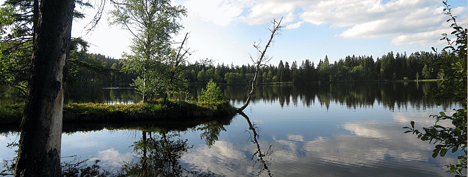 Kladsk